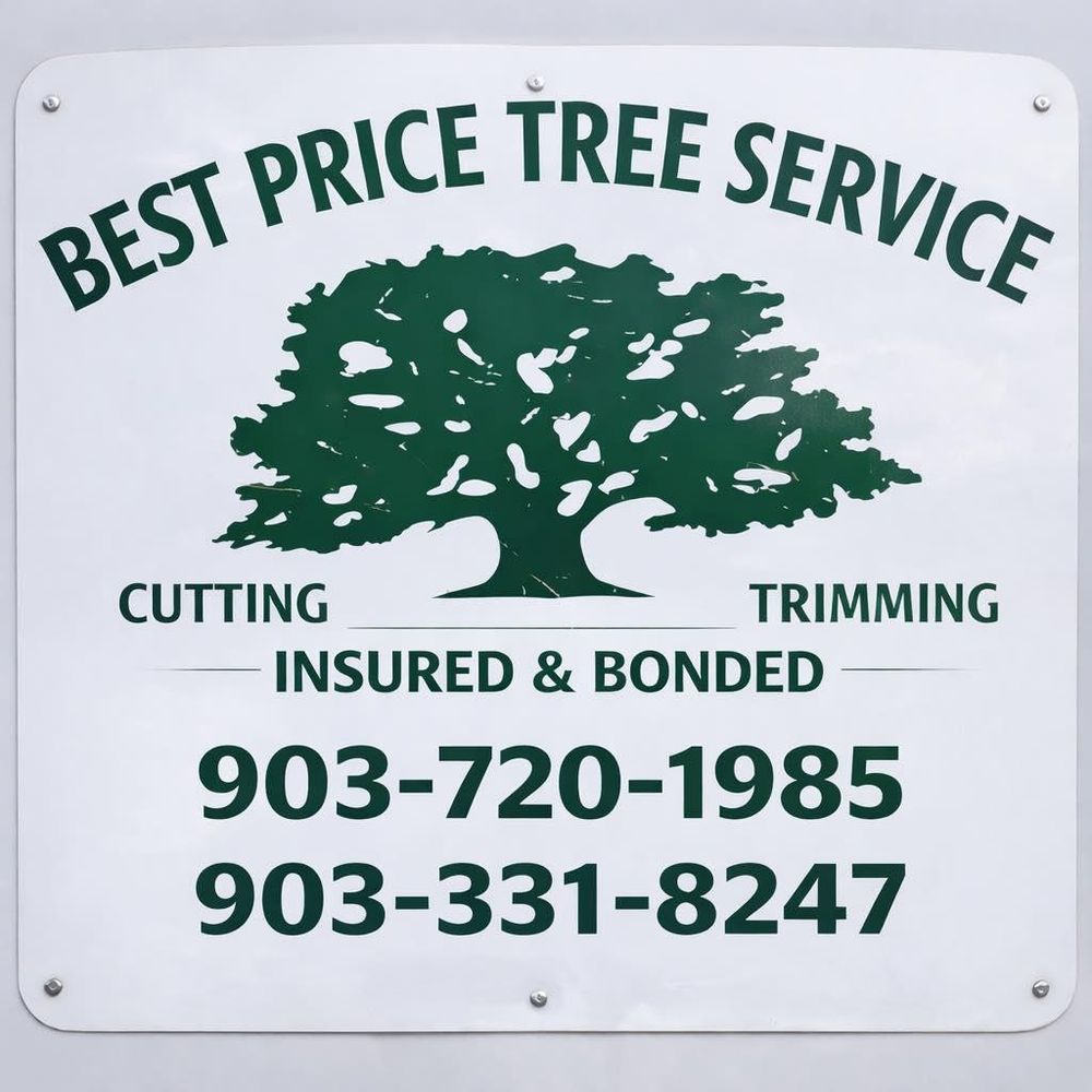 Tree Removal for Best Price Tree Service in Hallsville, TX