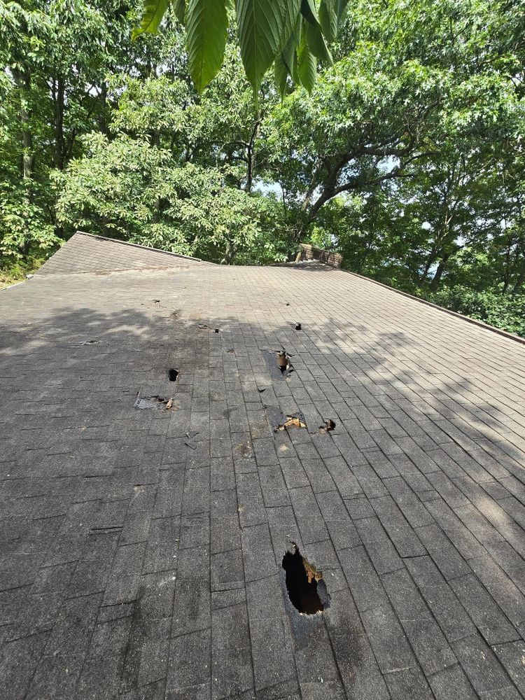 All Photos for M&L Lumber and Excavating in Jonesborough, TN