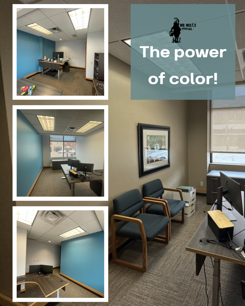 All Photos for Mr. Mole's Painting in Bemidji, MN