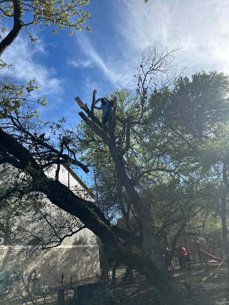 All Photos for DR Landscape in San Antonio, TX