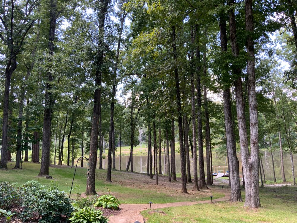 All Photos for Broadway & McMullen Construction in Hattiesburg, MS