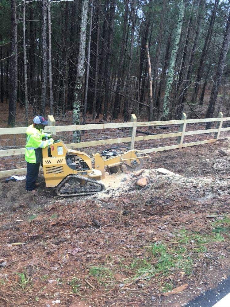 Our Tree Service provides professional tree removal, trimming, and maintenance solutions to homeowners looking to enhance the overall aesthetics and safety of their property. for Southern RustiQ Restoration in Atlanta, GA