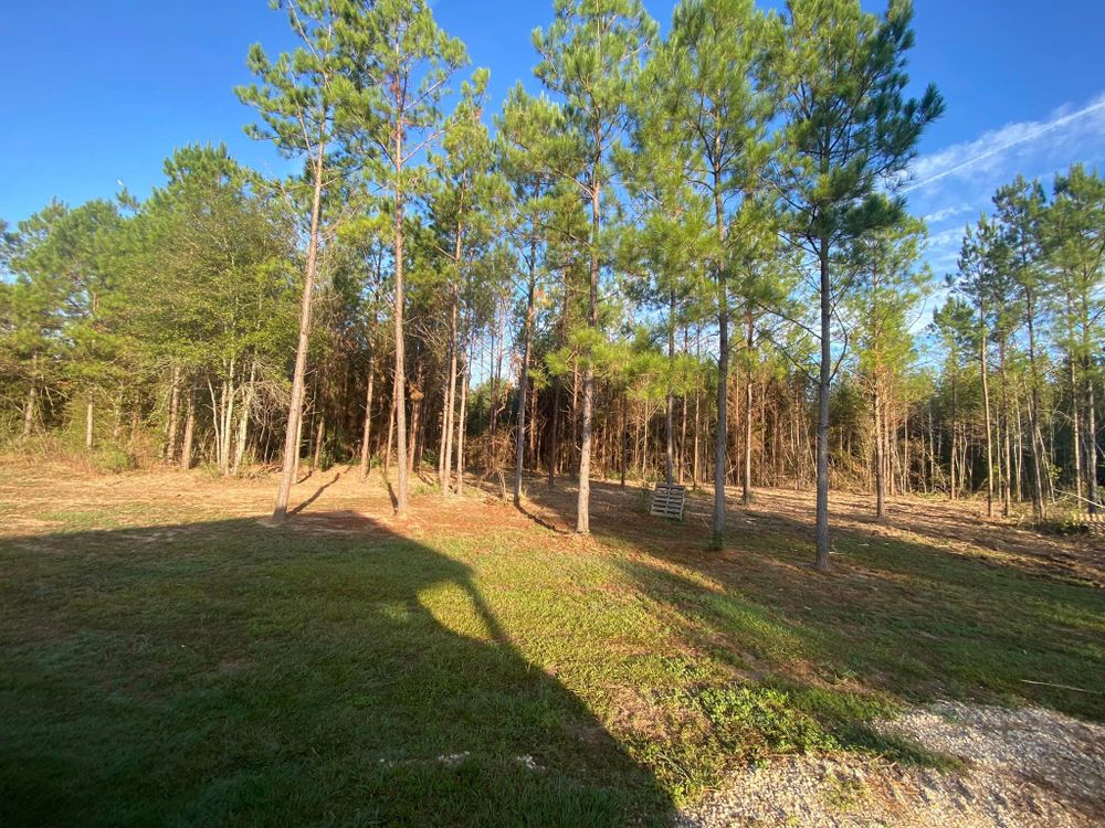 Land Clearing for South Mississippi Land Management LLC in Columbia, Mississippi