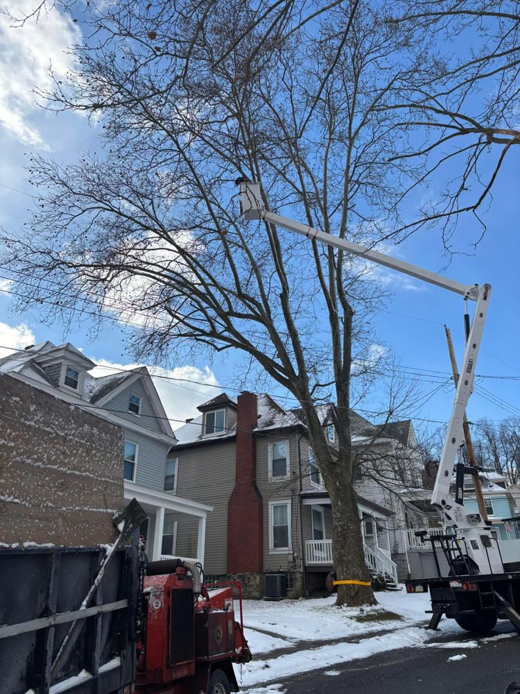 All Photos for JJ Tree Service in Gibsonia, PA
