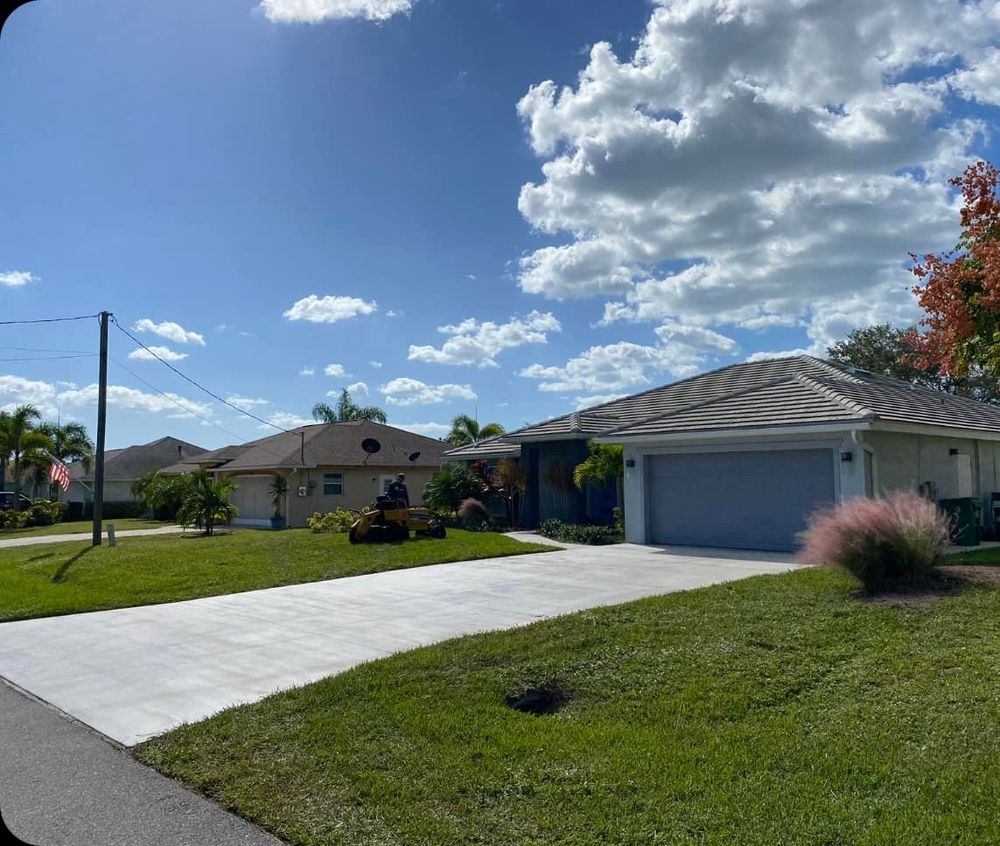 Tree Removal for MX Trees LLC in Englewood, FL