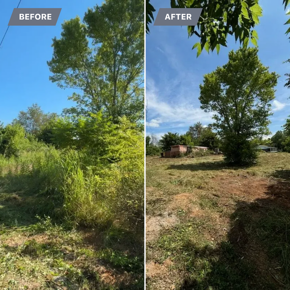 Brush Clearing  for Three Rivers Dirt Works LLC in Knoxville, TN