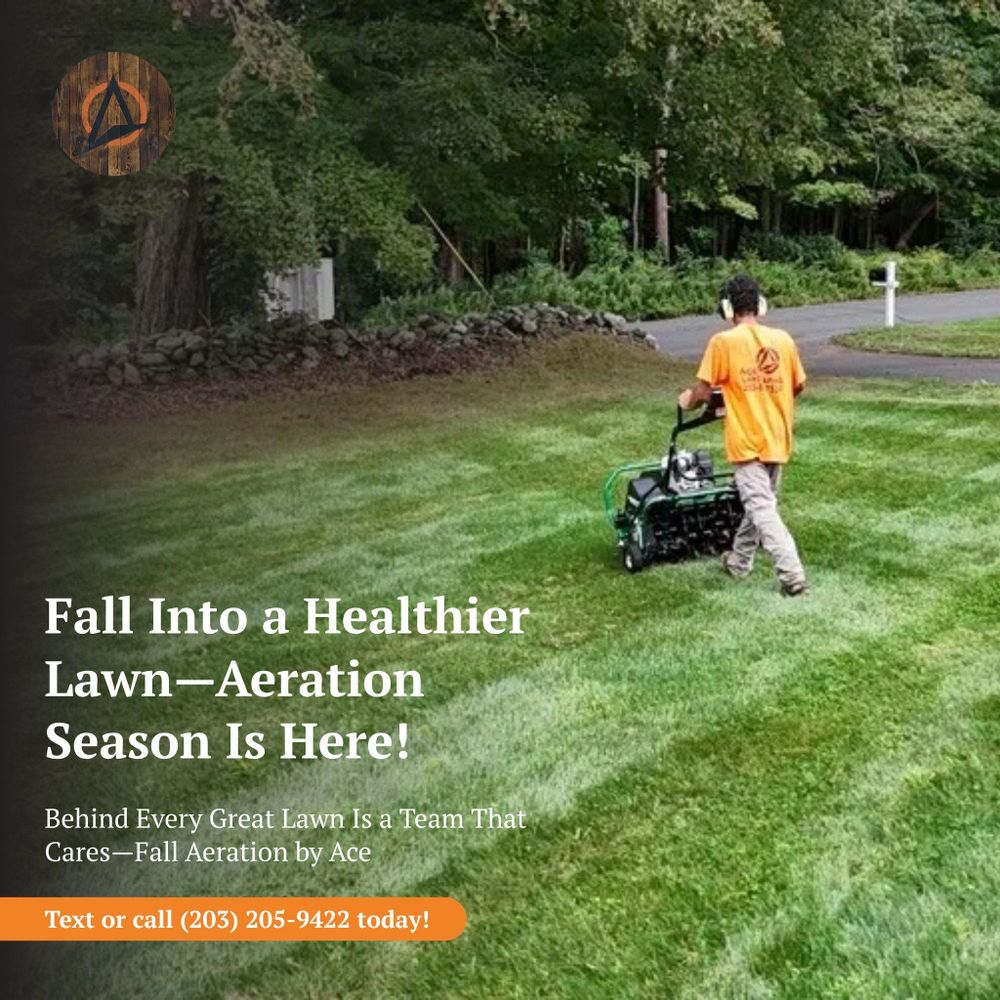 All Photos for Ace Landscaping in Trumbull, CT