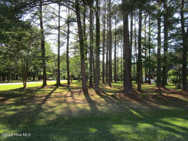 Croatan Lot 1 for Stellar Properties North Carolina in Hertford, NC
