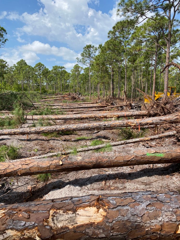 All Photos for South Florida Earthworks in Fort Pierce, FL