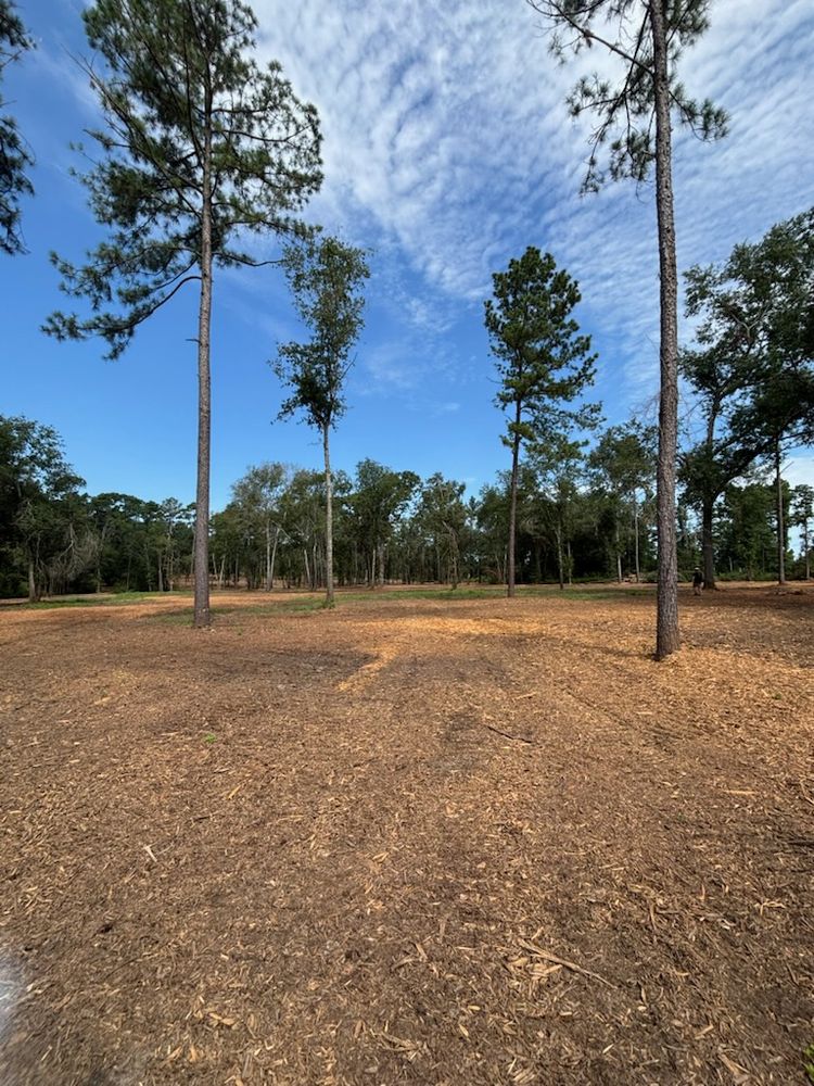 All Photos for JM Services in Woodville, TX