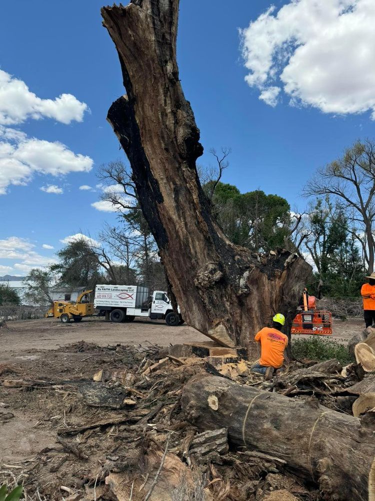 Stump Removal for By Faith Landscaping in Sierra Vista, AZ