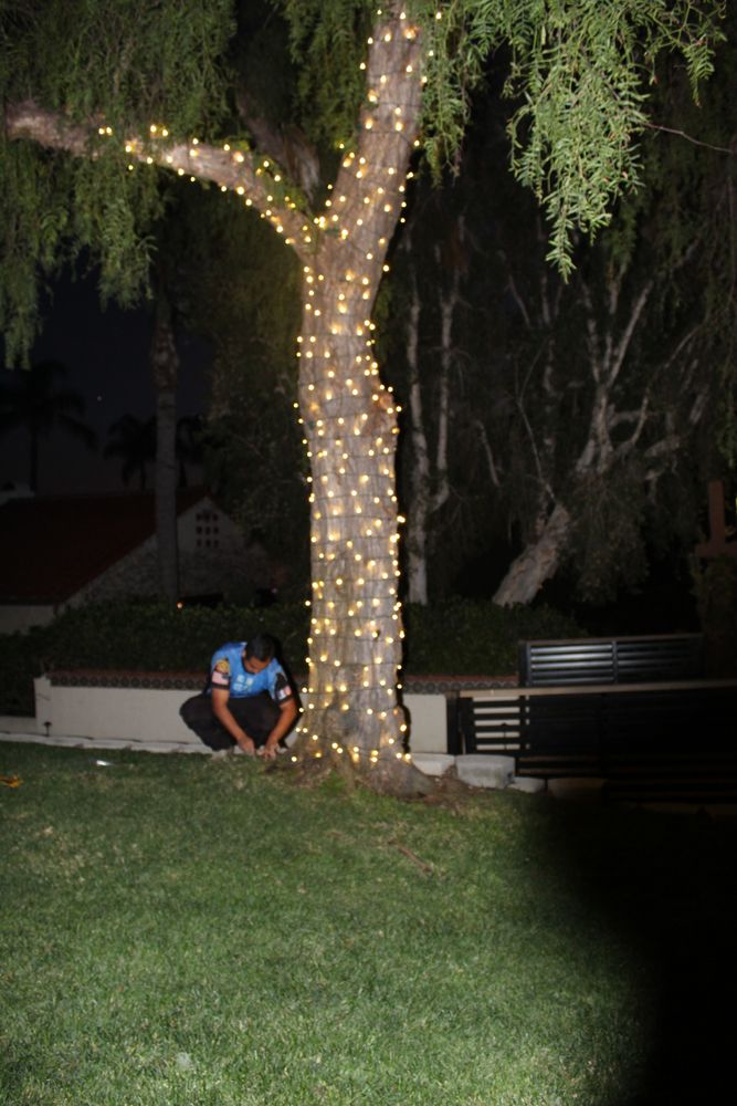 Holiday Lighting for Elite Shine Property Services: The #1 Choice for Window & Exterior Cleaning in South OC in Orange county, CA