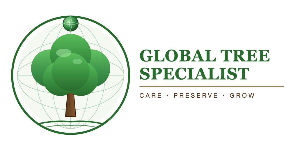 All Photos for Global Tree Specialist in Huffman, TX
