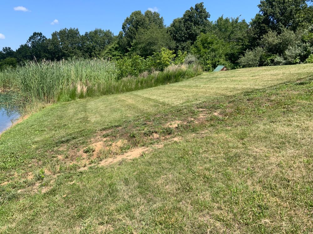 All Photos for Mayfield Landscaping in Staunton, IL