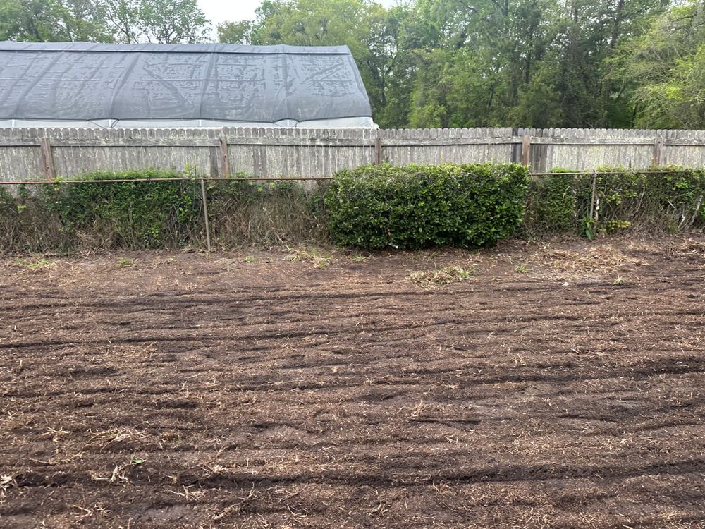 All Photos for All of the Above Landscaping in Orange Park, FL