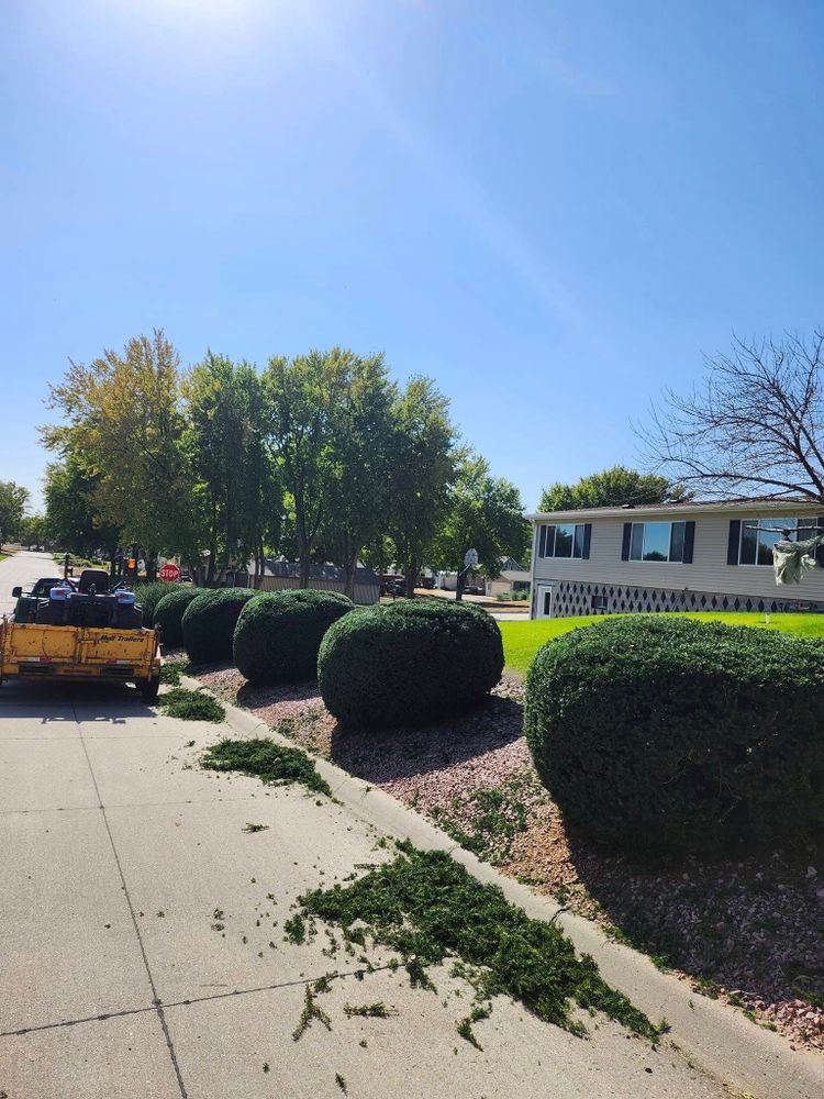 Enhance your home's curb appeal with our expert shrub trimming service, ensuring healthy growth and perfectly shaped greenery. Let us transform your landscape into a thriving, beautiful outdoor space you’ll love. for Uprooted LLC in Norfolk, NE