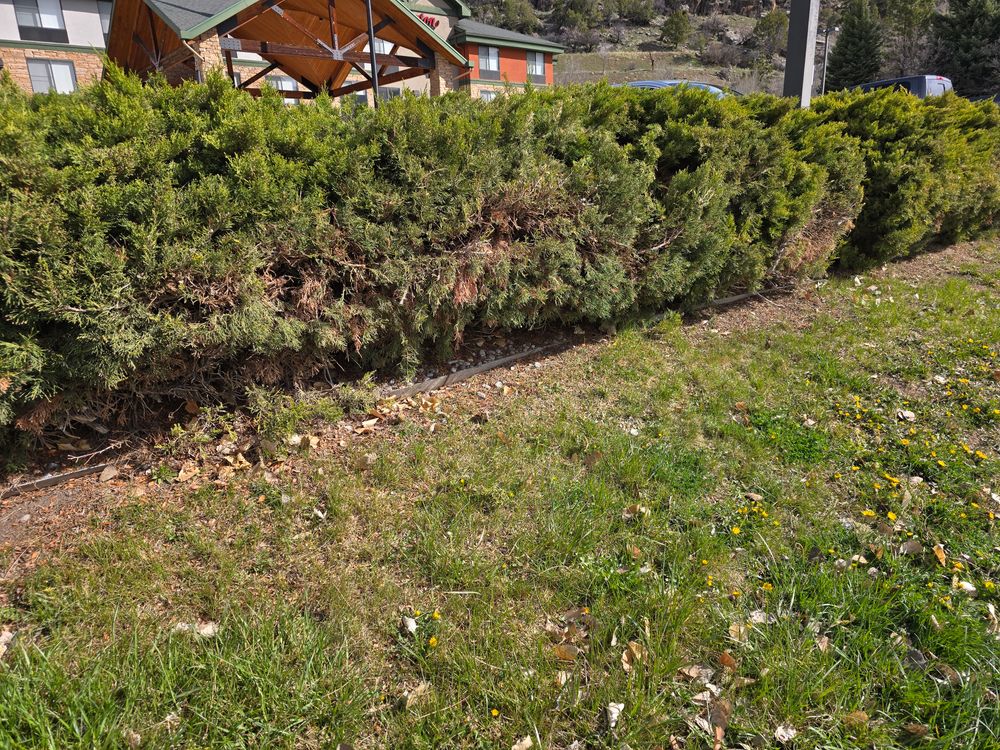 All Photos for LRS: Landscape, Rescue, Snow in Silt, CO
