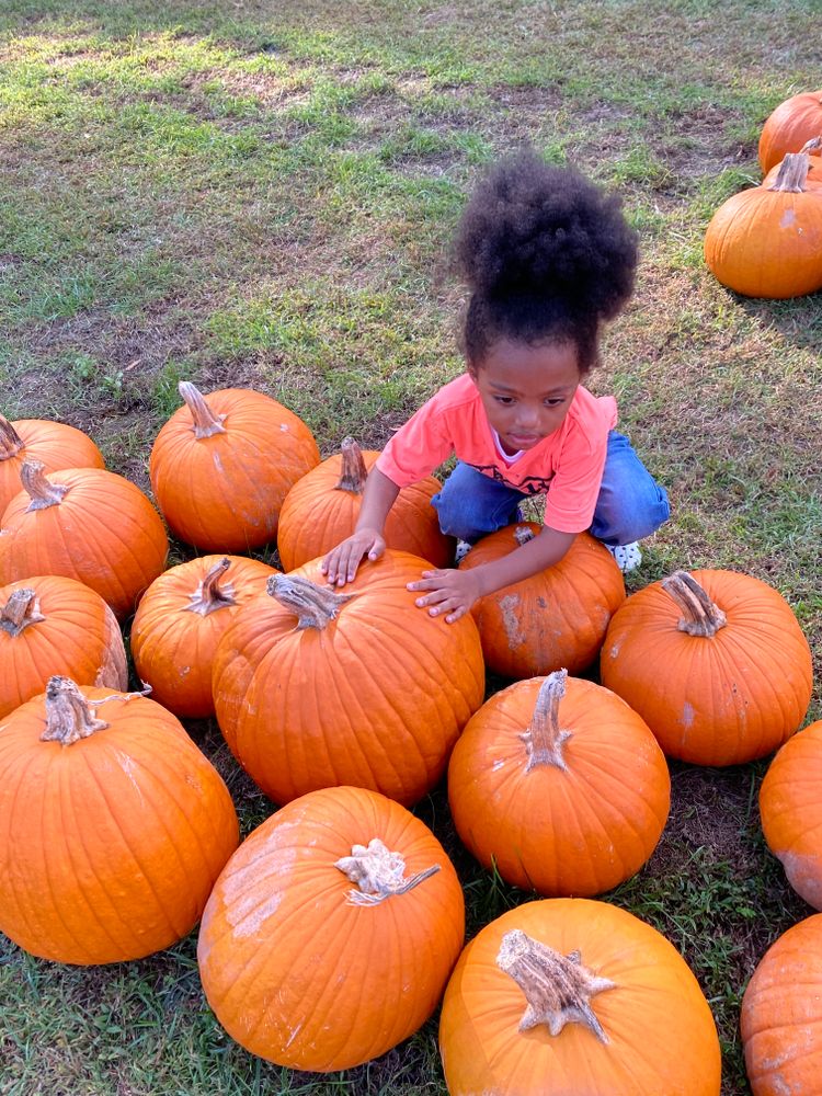 All Photos for Cleaning Carolina’s LLC in Greensboro, NC