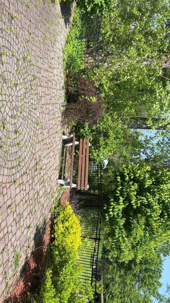 All Photos for Denicola’s Lawn Care in Oxbow,  NY