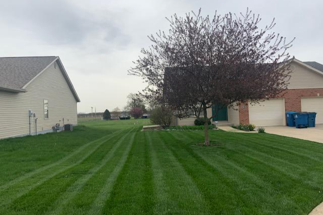 Lawn Maintenace for Andrew's Lawn Service LLC in Lebanon, IL