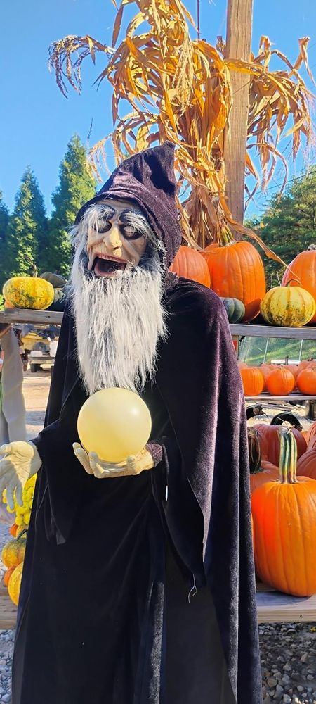 All Photos for BAM Another Pinestraw Lot in Flowery Branch, GA