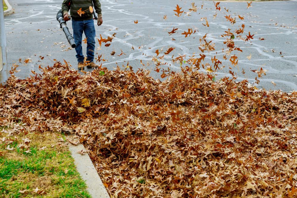 Our Fall Clean Up service ensures your yard is pristine, removing leaves and debris while preparing your lawn for winter, creating a healthy environment for lush spring growth. for M&M Lawn Care in Sterling, VA