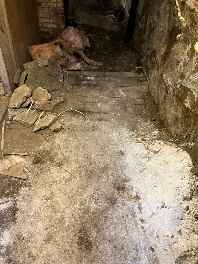 All Photos for Bruce's Removal Demolition and Tree Services in Gilsum, NH