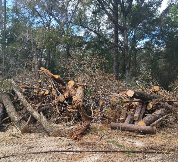 Our Trash Disposal service removes construction debris, yard waste, and unwanted materials quickly and safely, keeping your property clean, organized, and ready for the next phase of excavation work. for Aztec Land Destroyers LLC in Ocala, FL