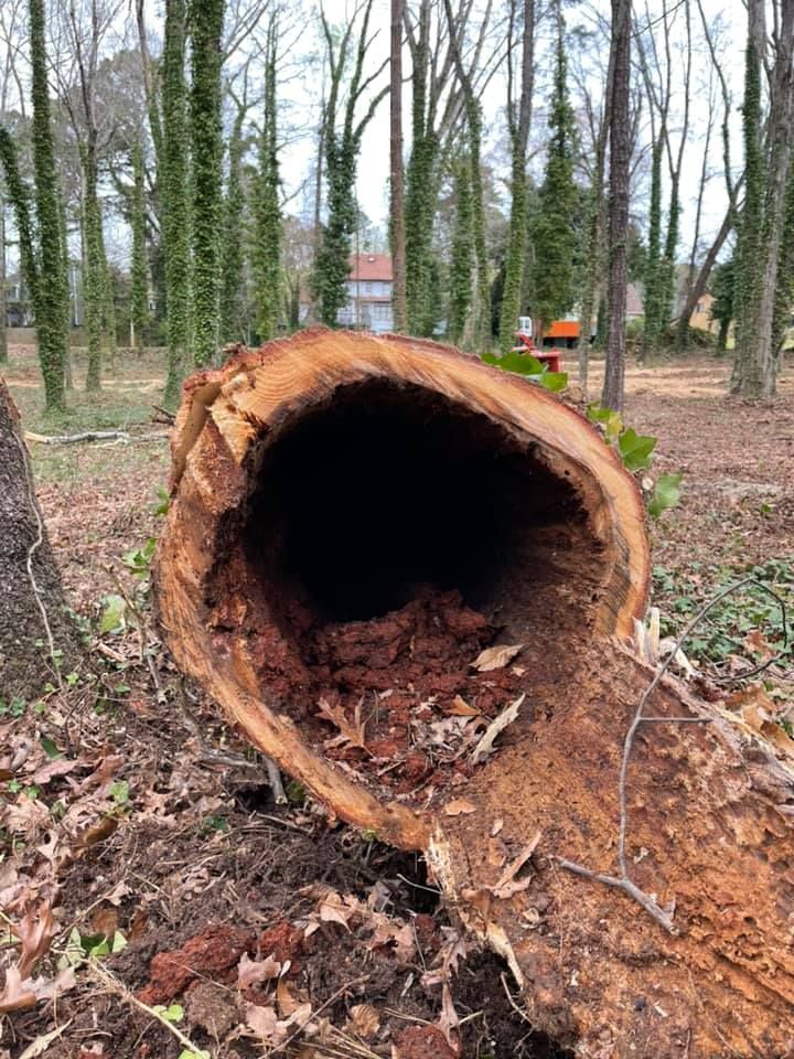 Tree Removal for Falcon stump grinding Tree services in Loganville, GA