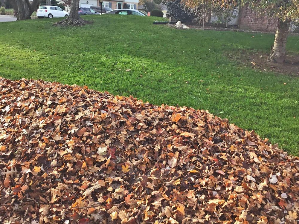 All Photos for Healthy Roots Landscaping in Apex, NC