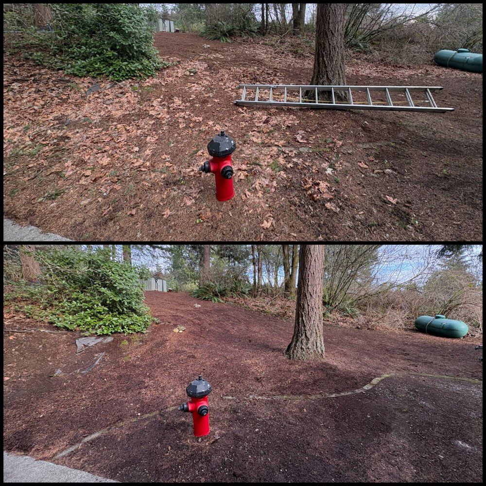 Fall Clean Up for Golovin Property Services LLC in Marysville, WA