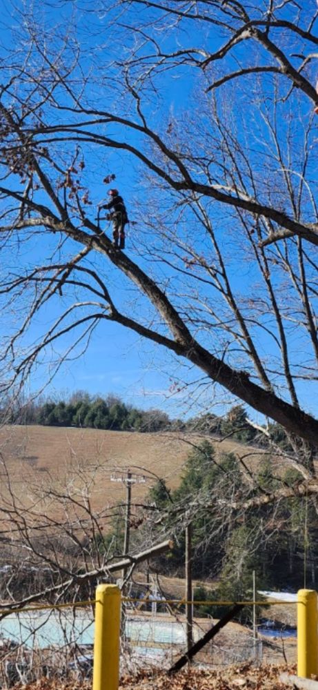 All Photos for Brothers Tree Service in Burnsville, NC
