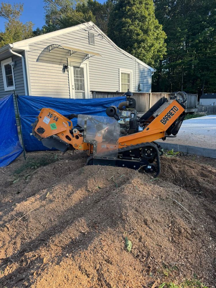 Stump Removal for Jills Stump Grinding and Firewood in Shelton, CT