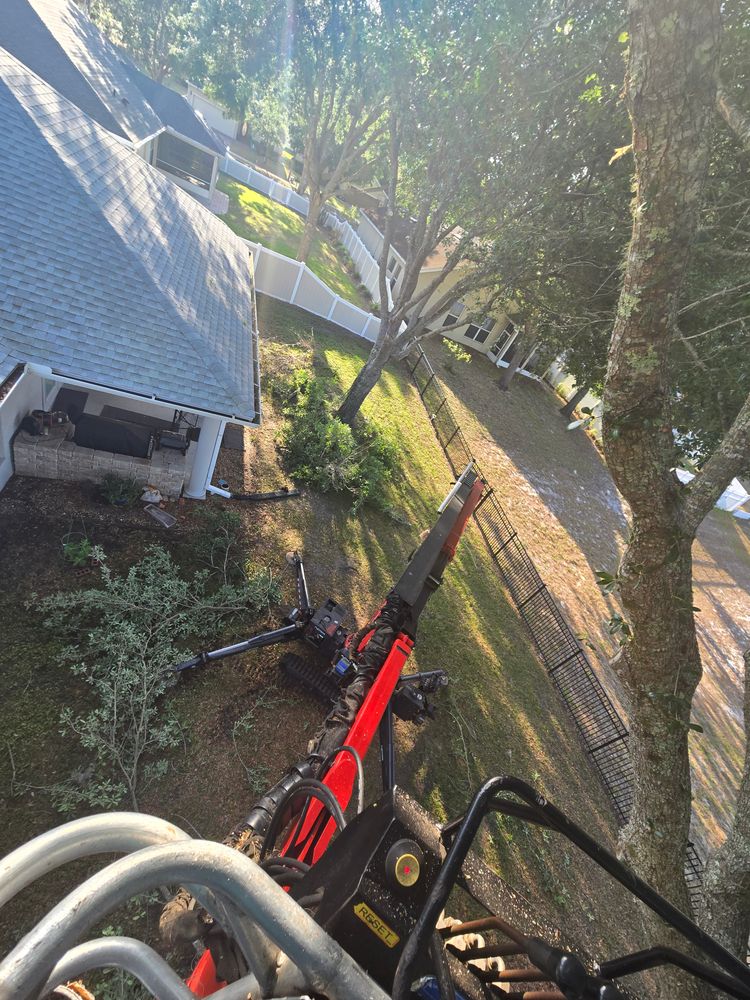 All Photos for Near Me Tree Service, Inc. in DeLand, FL