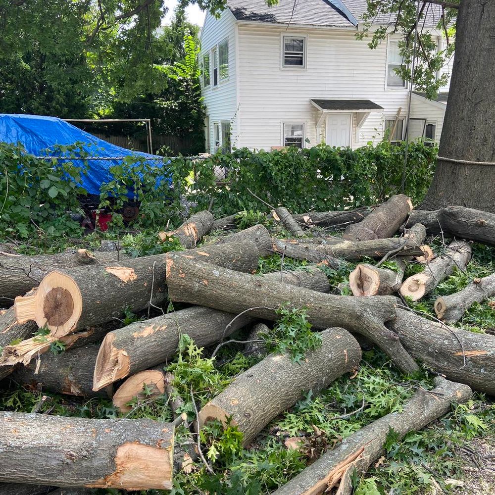 Our expert Tree Removal service ensures safe and efficient removal of unwanted or hazardous trees, enhancing your property's beauty and safety while minimizing disruption to your landscape. Contact us for a consultation. for Dextre Tree Service in West Hartford, CT