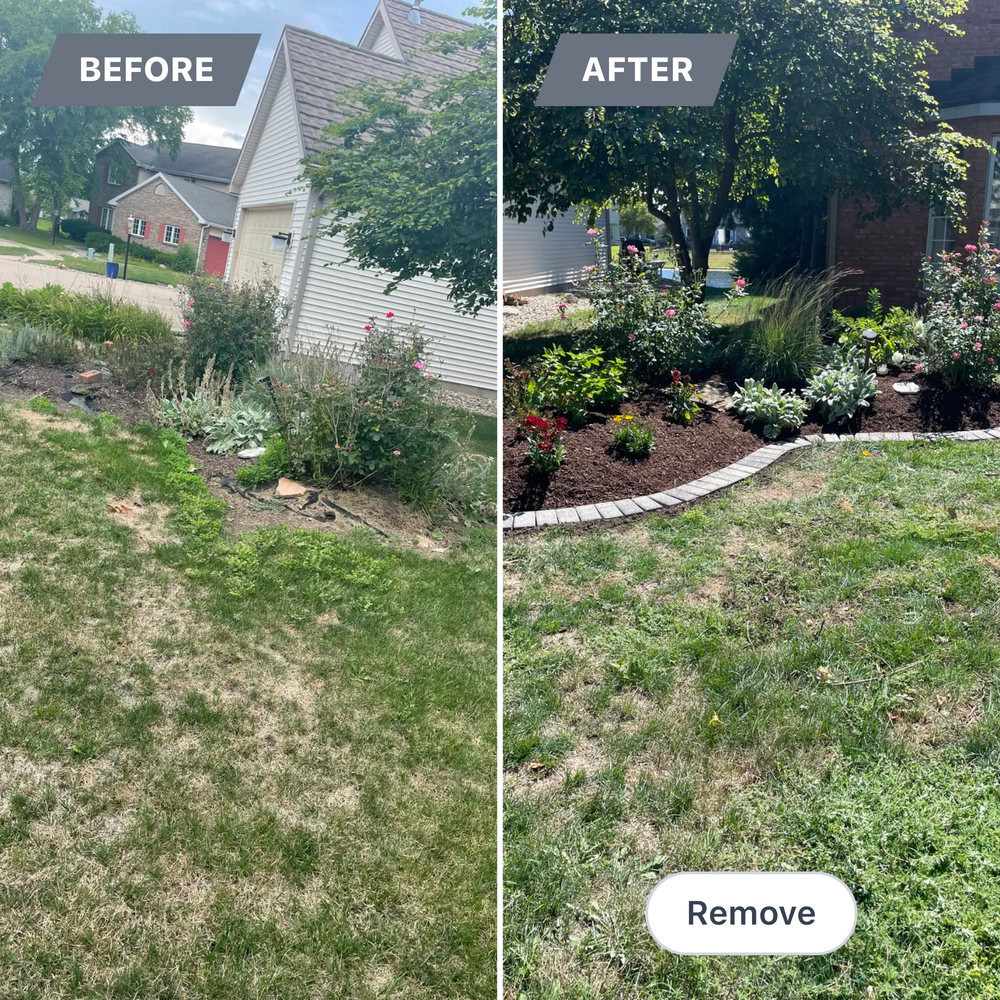 All Photos for MDR Landscaping in Urbana, IL