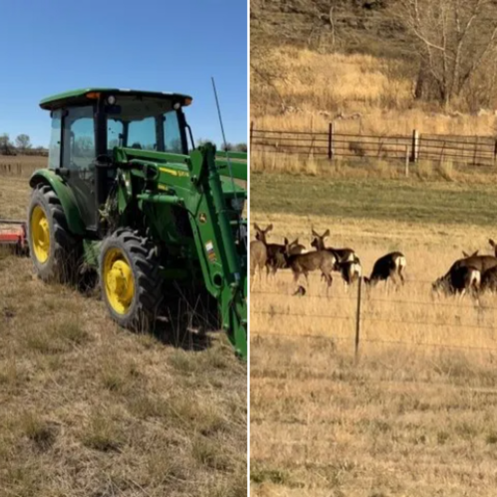 All Photos for Fair Weather, Inc in Rocky Ford, CO