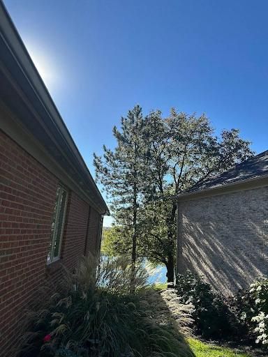 All Photos for Kingdom Tree Trimming and Removal LLC in Covington, KY