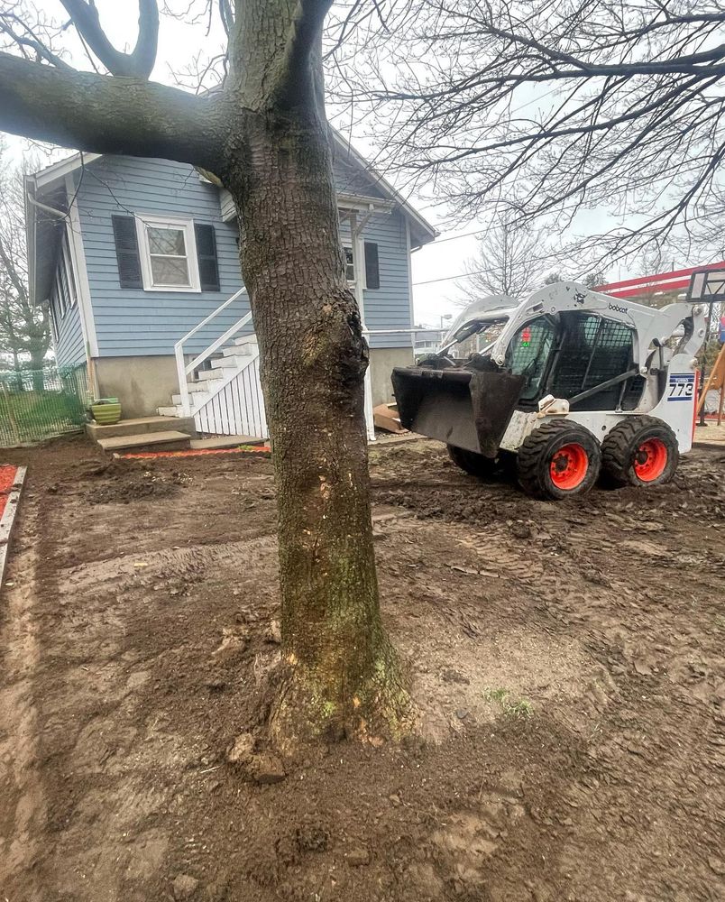 Landscaping for Zammito Landscape Construction in Dorchester, MA