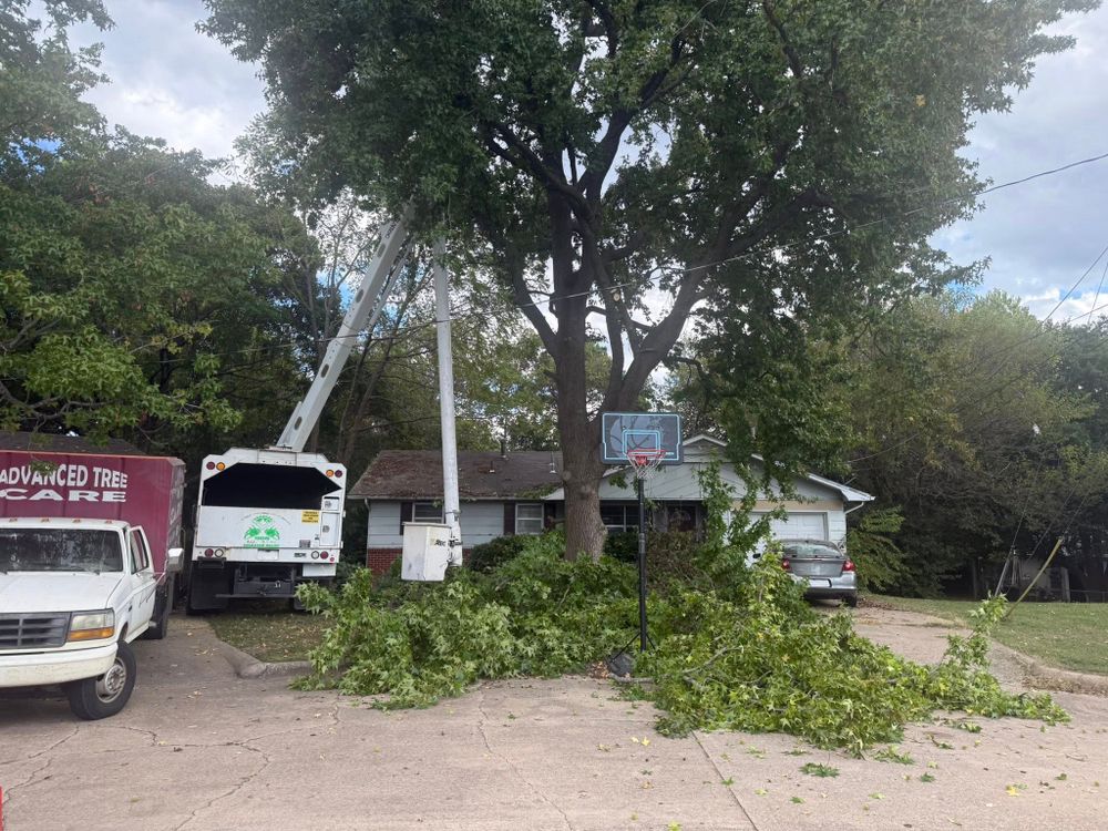 All Photos for Lightning Tree Service in Fair Grove, MO