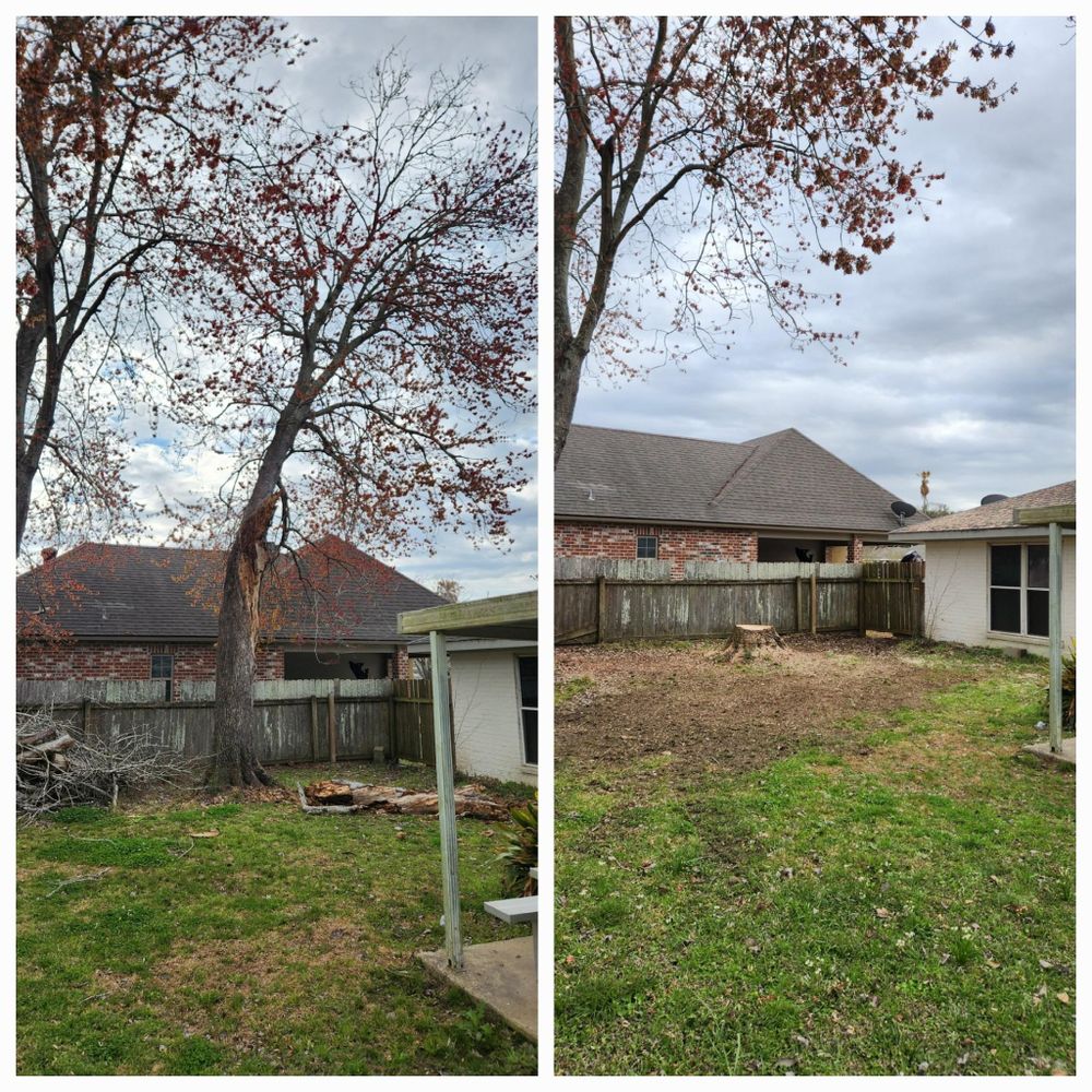 All Photos for Ken's Elite Cutters LLC  in Breaux Bridge, LA