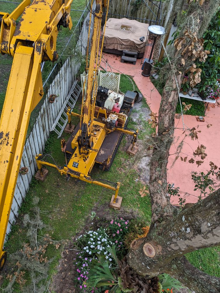 All Photos for Regal Tree Service and Stump Grinding in Wauchula, FL
