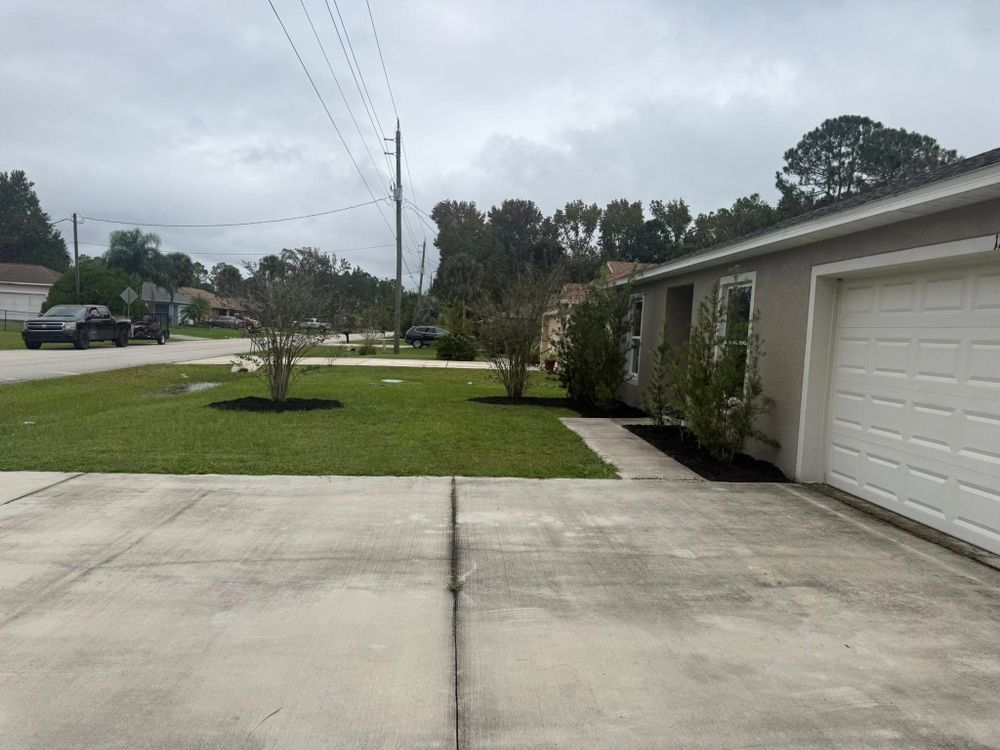 Tree Services for Grind Time Tree Service in Daytona, FL