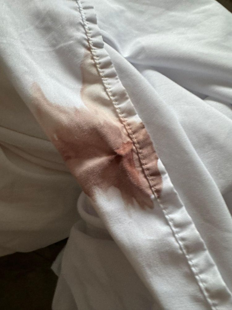 All Photos for A+ Cleaning and Services LLC in Deep Creek Lake, MD 