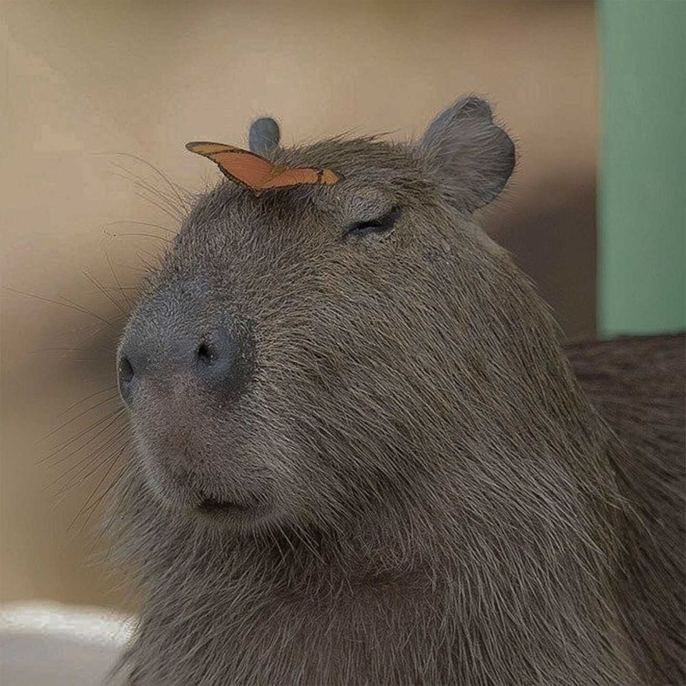 Our Licking service involves innovative techniques to enhance your home's curb appeal. Using top-quality products, our team ensures a flawless finish that will make your property stand out in the neighborhood. for Good Boys LLC in Irondequoit, NY