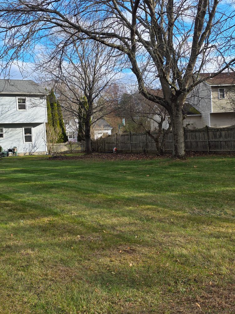 All Photos for Sweet Scapes in Ballston Spa, NY