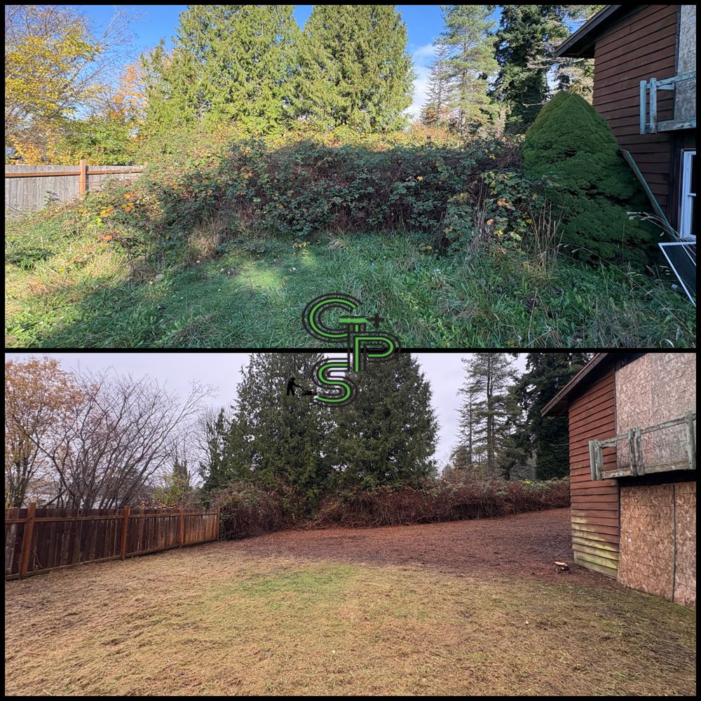 Fall Clean Up for Golovin Property Services LLC in Marysville, WA