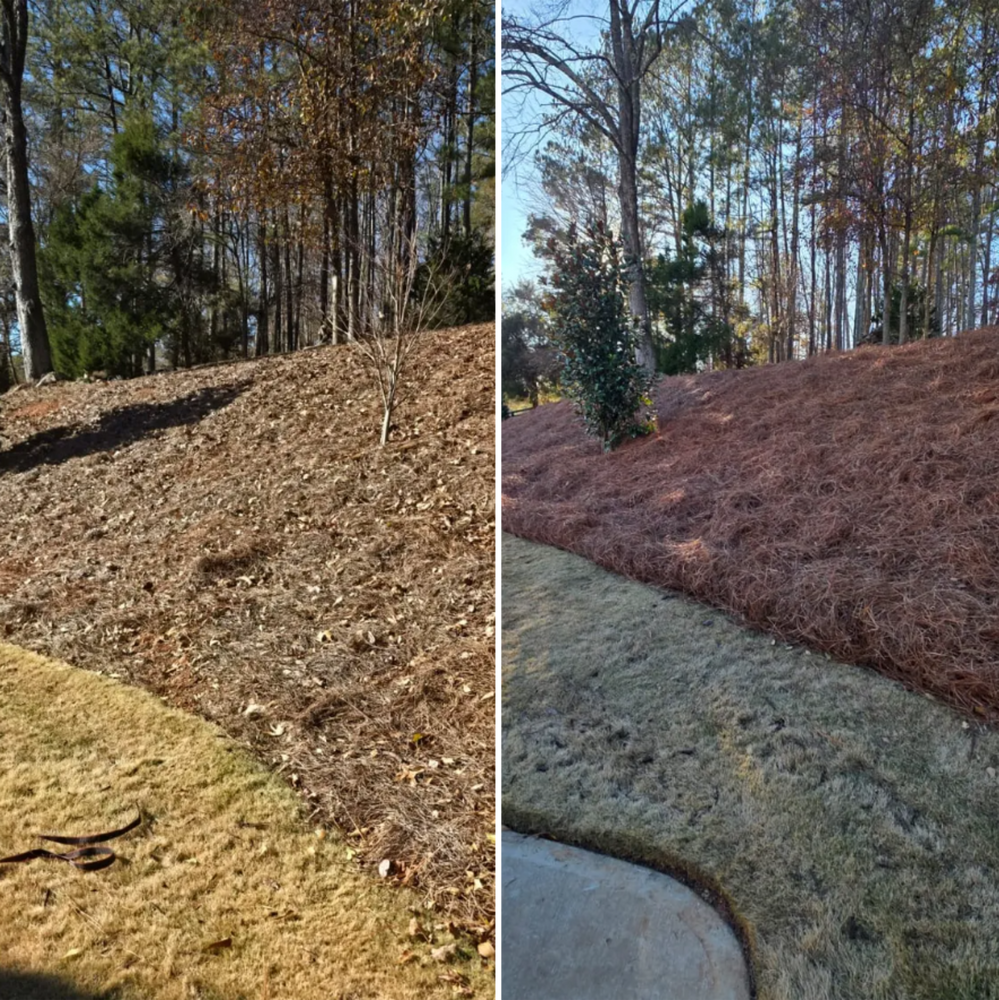 All Photos for GA Bear Dumpster Rental in Cumming, GA