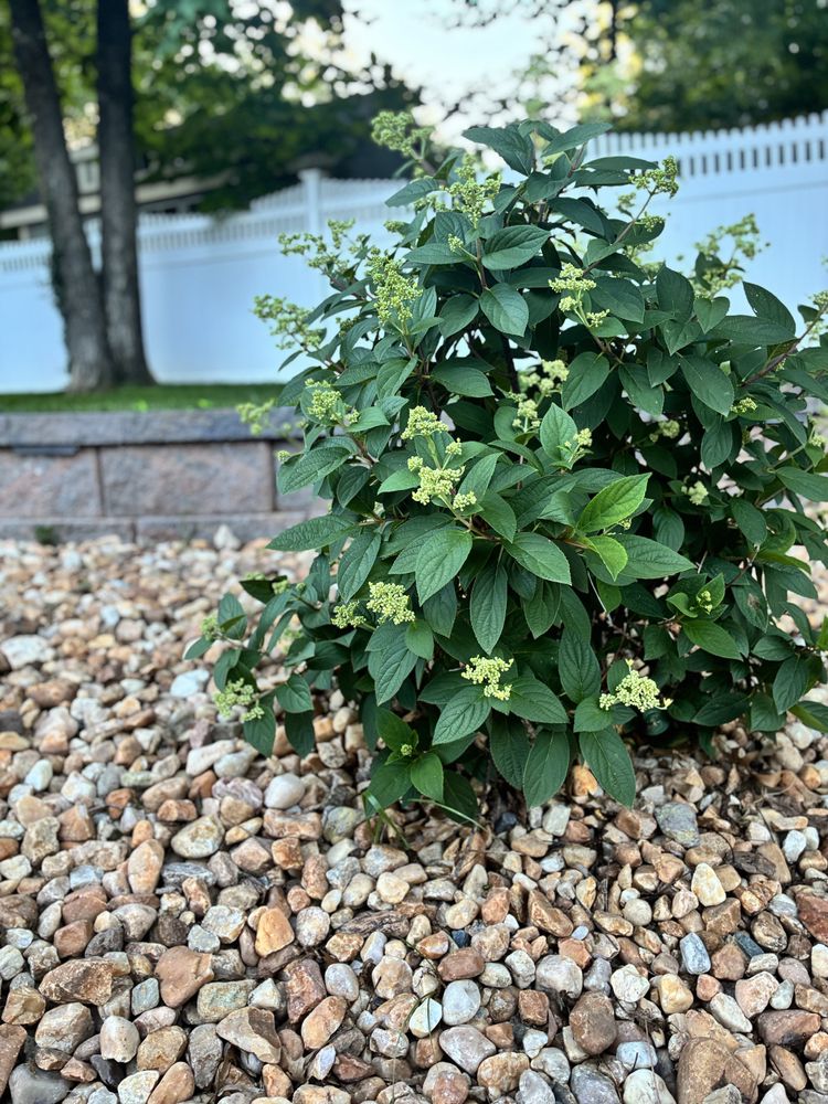 All Photos for OutDoorMasters Hardscape in Fredericksburg, VA