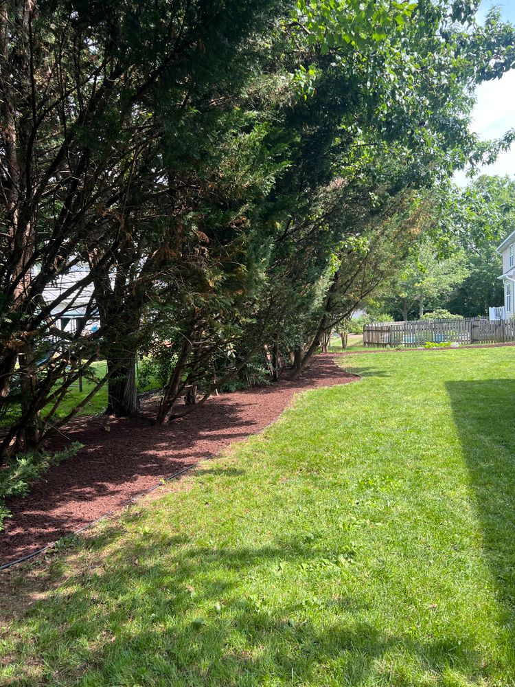 All Photos for Arundel Lawn Maintenance in Arnold, MD
